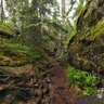 A walk on Stenkälla trail in Tiveden