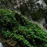 7 Stairs Canyon