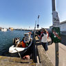 Selling Fish at Dragør Harbour