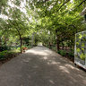 Company Gardens