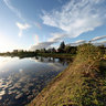 Fern Gully Lake