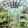 Indoor Rainforest