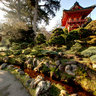 Japanese Tea Garden