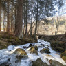 Reithbach im Aschachtal