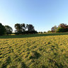 Balloon Flight on a sunny day in East Sussex