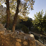 40 Steps
