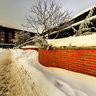 Karolinska Institutet, Solna Campus