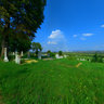 The Cemetery of Sântioana de Mureș - Csittszentiván