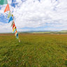 桑科草原（Sankoh Prairie）091