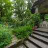 Zois Palace Garden