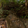 Thailand Ko Chang Jungle