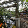 Fish Pond in Haga park's Butterfly house in Stockholm