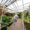 Butterfly House, Hagaparken