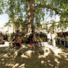 Fêtes médiévales 2010 - L'arbre de la liberté, planté le 30 mars 1797.