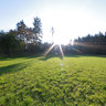 Field near Lich with appletrees, Hessen, Germany