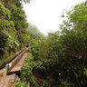 Madeira - Folhadal 2