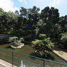 Madeira (Monte Palace) - Tropical Gardens 3