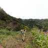 Madeira - Levada do Castelejo 1