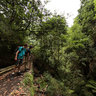 Madeira - Levada do Castelejo 2