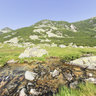 Retezat View