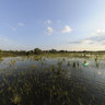 Sunset over the Danube delta, Sfantu-Gheorghe, Romania