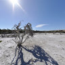 Esperance Dry Lake