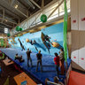 Bavarian Bouldering Championships
