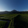 Rice Fields and Mt. Lokon, Sulawesi
