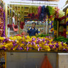 Street Vendor, Campbell Lane, Little India, Singapore