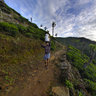 Kelburne Tea Estate, Haputale, Sri Lanka