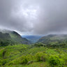 Tea Plantations, Haputale, Sri Lanka