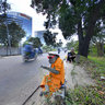 Performing Street Monkey, Jakarta