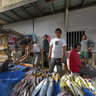 Fishmonger, Kendari, South East Sulawesi