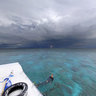 Karang Gurita (Atoll), Wakatobi Islands, South East Sulawesi