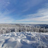 WinterWonderLand