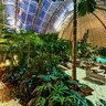 Tropical Island - Caribean Bar