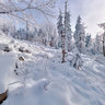 Wintertime