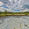 Diatomaceous Earth near Soos / CZ