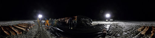 Barrow Whale (10 Oct 08 0256)