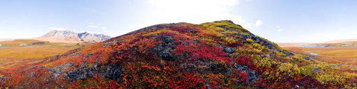 Fall colors on the Hula Hula River (080823 1738)