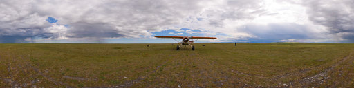 Beaver at Bitty airstrip (08 July 08 13:46)