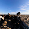 The bonepile in Kaktovik (07 July 08 08:51)