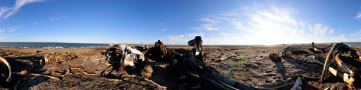 The bonepile in Kaktovik (07 July 08 08:51)