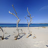 Porto Pino - Sardegna