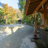 Temizuya at Tsurugaoka Hachimangu