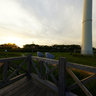 Windmill at Miura