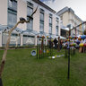 Pottery Market / Töpfermarkt in Gmunden, 2010
