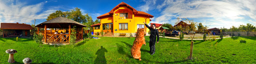 Andreea Inn's Garden in Baia de Fier