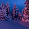 Wonderful winter landscape at sunset in Straja
