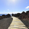 PUNTA TENO